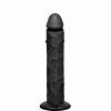 Articles  Titanmen 10 inches Dong Suction Cup Black