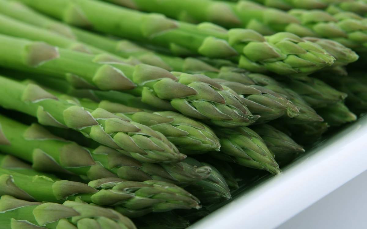 Relationships - From The Male Perspective  Asparagus Day