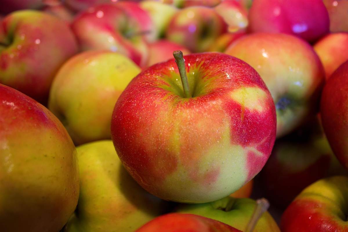 Relationships - From The Male Perspective  Apple Day