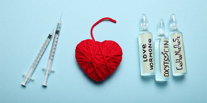 Blog Sexual Health Sexual Wellness  Happy, Healthy & All Loved Up: What is the Hormone, Oxytocin?