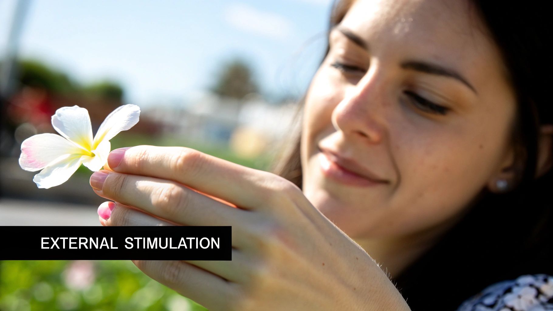 Blog Uncategorized  Anatomy of Female Arousal: Science-Backed Guide to Response