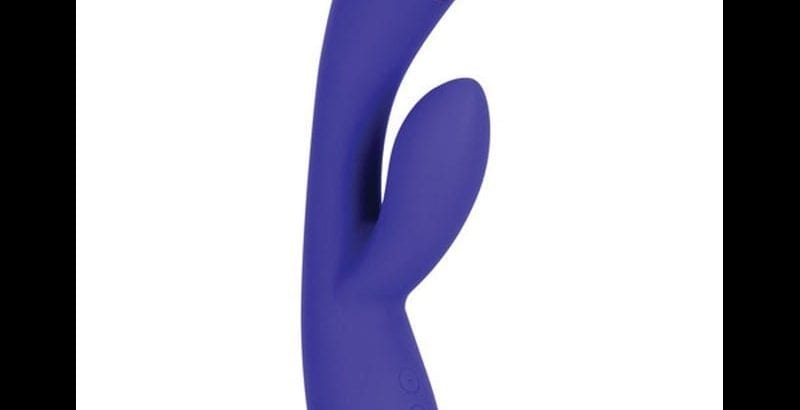 Blog  Intimate E-Stimulator Rabbit |  |  $145