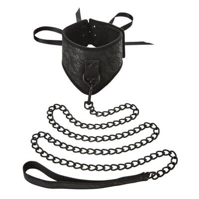 Blog  Sincerely Lace Posture Collar & Leash |  |  $53.00