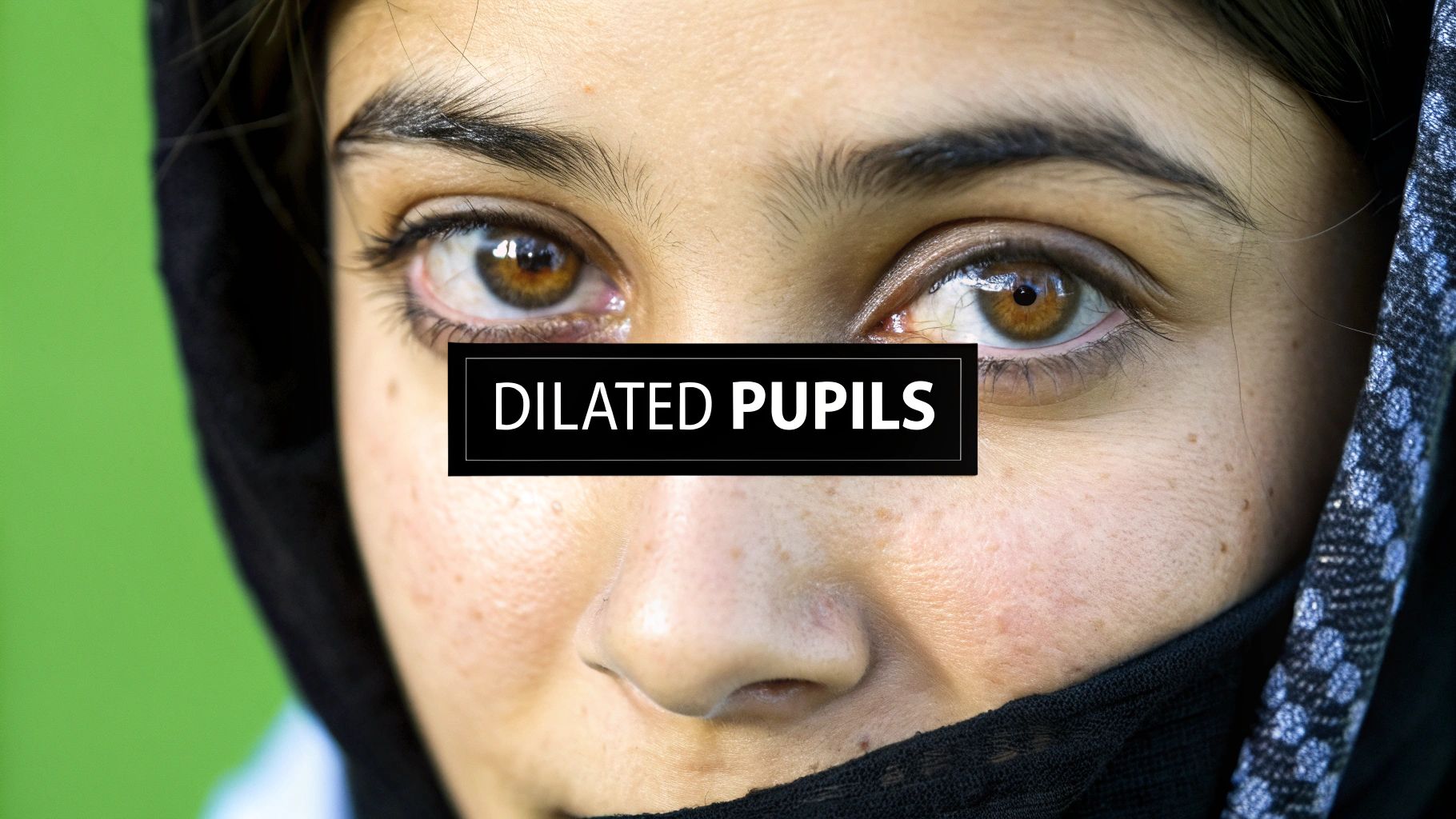 7 Undeniable Signs of Female Arousal to Spot (2025) Blog Uncategorized Blog Uncategorized 7 Undeniable Signs of Female Arousal to Spot (2025)